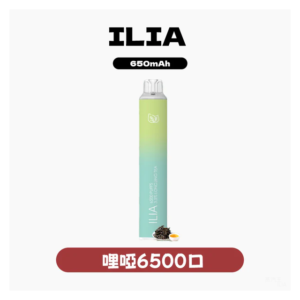 ILIA BAR4哩啞四代一次性抛棄式電子煙 6500口【23種口味】